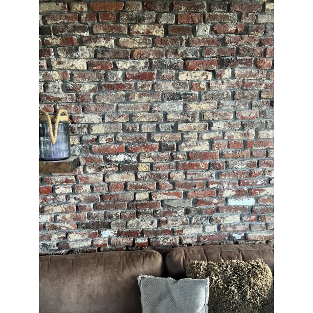 Kleine gebikte veldbrandsteen